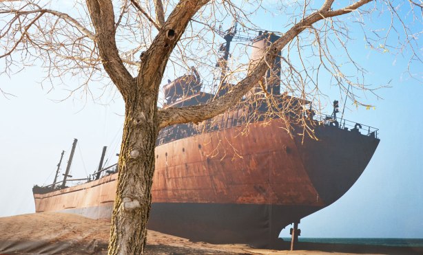 A large photograph by Zineb Sadira of an old ship that lies rusting on the shore.  A tree is in front of the photo.  Although it is rusting, the ship is intact. 