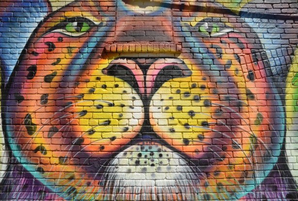 part of a large mural - close up of a tiger's face