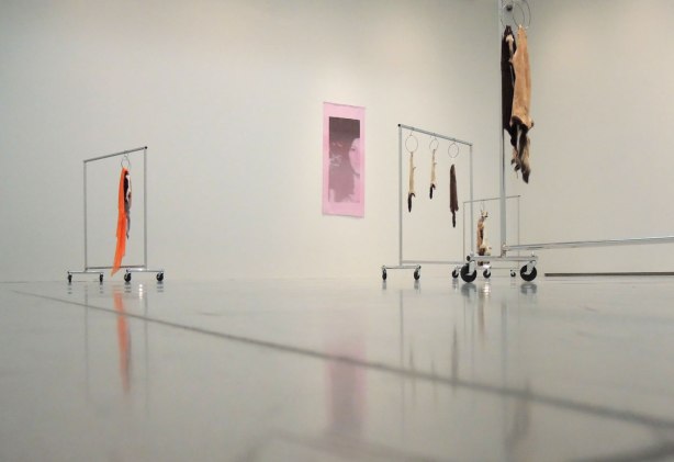 in an art gallery, an art installation that involves skins of dead animals hanging from garment racks. A pink picture of a woman hangs on the wall. 