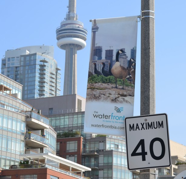 A banner with a picture of a seagull on it. In the background of the banner picture is the CN Tower. In the background of this photo, there is also the CN Tower. 