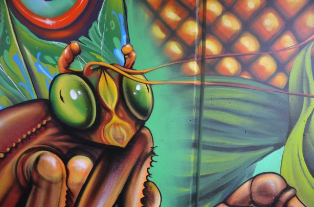 close up of big eyes on an insect, part of a mural