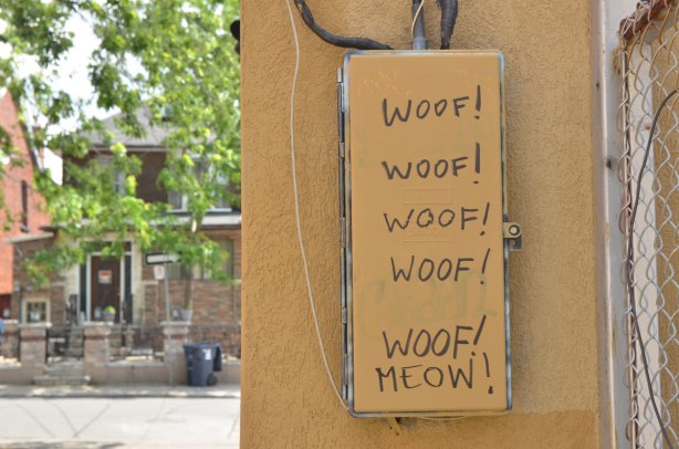 a metal box on a wall, both painted a yellowish brown, on the box someone has written woof woof woof woof woof meow vertically so that meow is under a pile of woofs. The house across the street is in the background. 