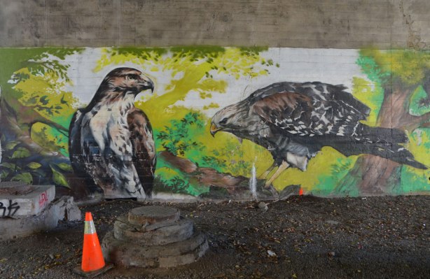 part of a mural under a bridge on the Beltline path, by StART, two hawks on the ground. 
