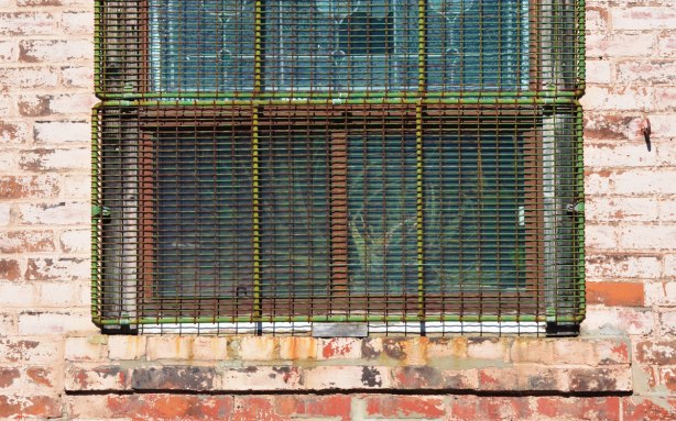 a metal grille that was painted green covers a window with a rusty metal frame and one pane cracked. A plant grows inside the window. 