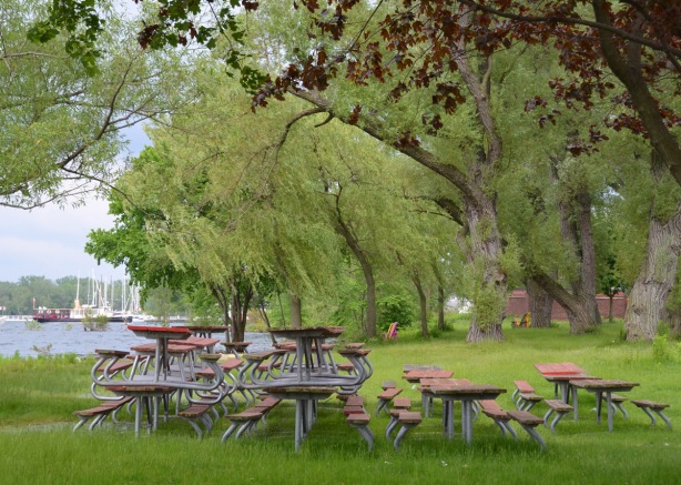 picnic tables are stacked in piles beside the water, willow trees and a red maple are also in the picture