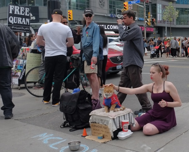 a woman in a purple dress is sitting on the sidewalk, patting the cat wearing the superman costume that is sitting on a box. other people standing around, corner of Yonge and Dundas 