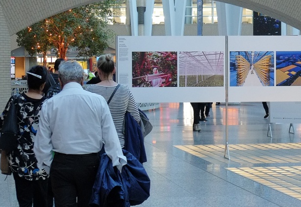 World press photo exhibit at Alan Lambert Galleria, a group of people walk past 4 of the photos from the environmental category, photos taken at an experimental farm in the Netherlands 