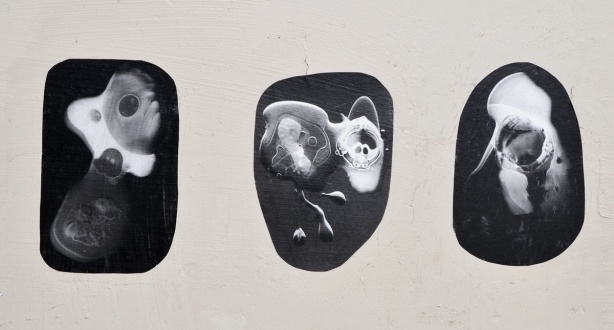 three black and white photo paste ups that look like ameobas or primitive life forms on a concrete wall, outdoors, 