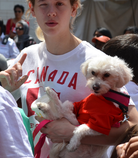 a young woman in a red and white Canada t shirt holds a small white dog with a red leash and red outfit 