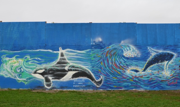 2 murals, one is a whale and the other is a dolphin, swimming in the water