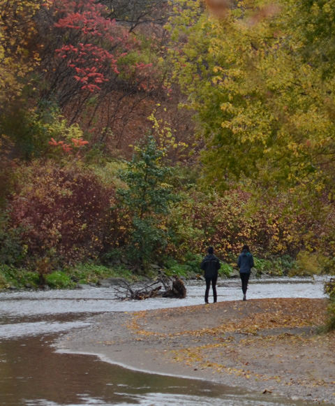 2 people walk on the sandy river bank on the side of the Don River, autumn with leaves in different shades of red and gold 