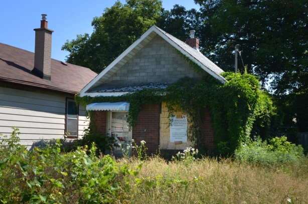 very small house with large front yard, yard is overgrown with long grass and weeds, boarded up with signs in the window