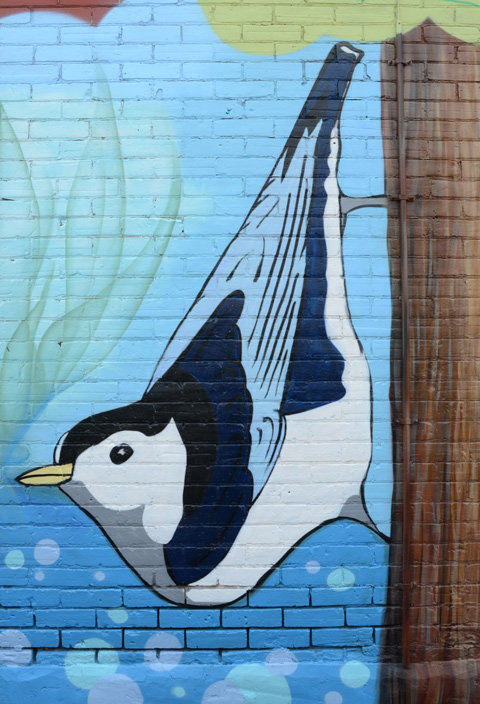 street art painting of a nuthatch bird on a wood pole