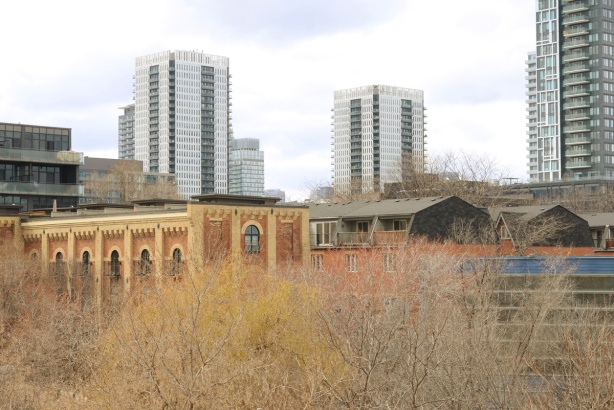 looking northwest from Queen East bridge over the Don River, view of old brick brewery by River Street (now residences), and newer highrises beyond