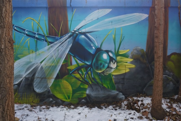 blue bodied dragonfly in a mural, painted by Nick Sweetman, 103 West Lodge Ave., wall, snow on the ground, beside some large trees