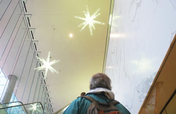 back of a grey haired man's head as going up escalator, with some white lights in star shapes on the ceiling