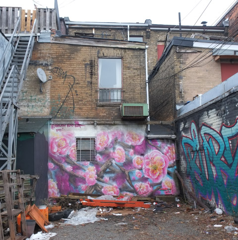mural of pink flowers behind a store on Spadina, in an alley, 