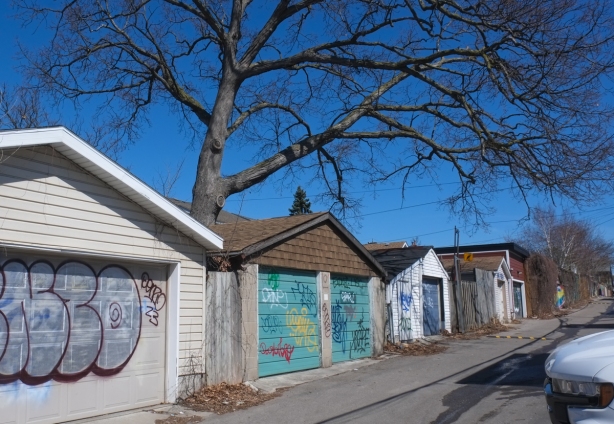 garages along the north side of paul estrela lane, large tree, no leaves, winter time, but no snow, some graffiti on the garage doors 