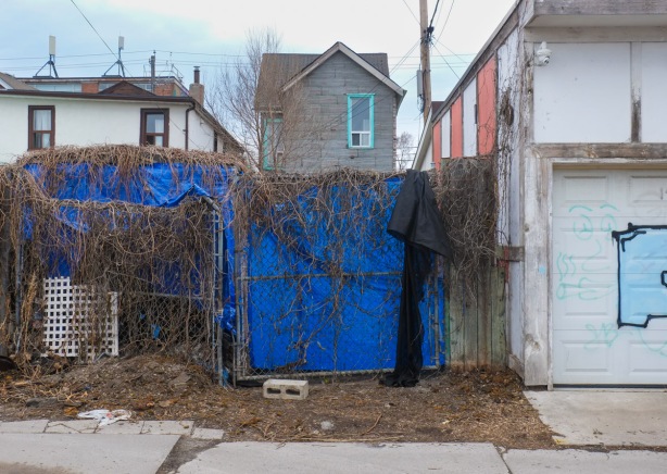 blue tarp over a fence behind a house in an alley
