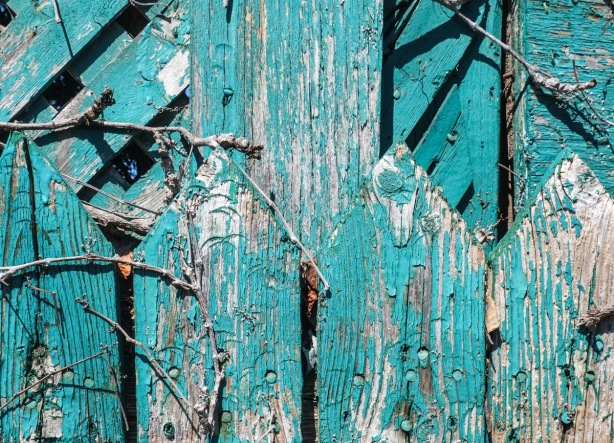 part of a fence that was painted teal colour but paint is now peeling, picket tops of the wood forms triangles