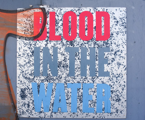 graffiti signs by Nigel Smith, with words that say blood in the water