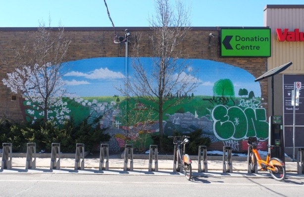 mural on the side of Value village, spring scene with blossom tree and green grass, bike share bikes in a row in front of the mural