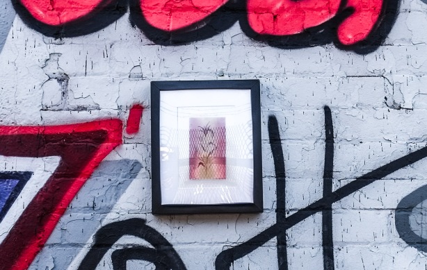 small framed picture surrounded by graffiti on an exterior wall in a lane