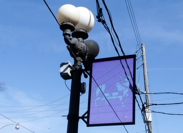 purple and blue banner attached to lamp post