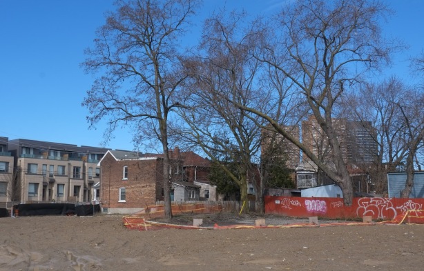looking across a flattened vacant lot. dirt, to a line of new townhouses, as well as older single family homes with large trees in the backyard