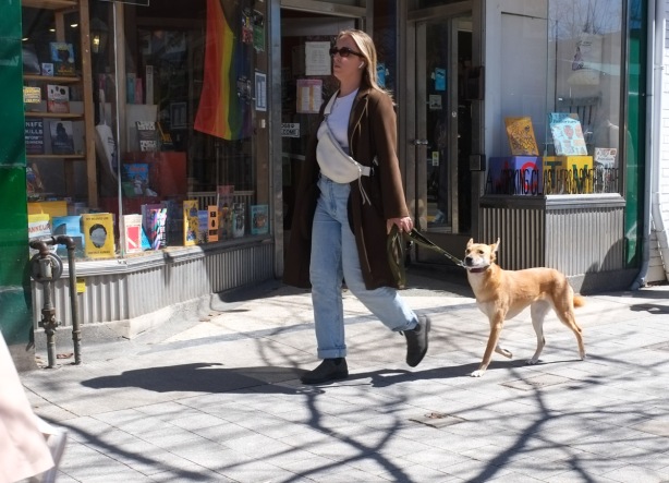 a woman walks her dog on the sidewalk, Roncesvalles